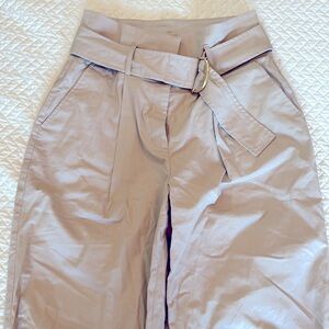 Express Gray Ankle Cropped Pants